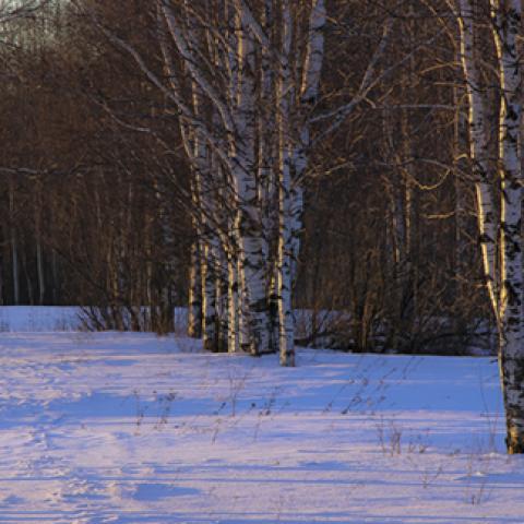 image snow_and_ice_lr_0005-jpg