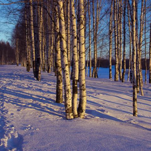 image snow_and_ice_lr_0009-jpg