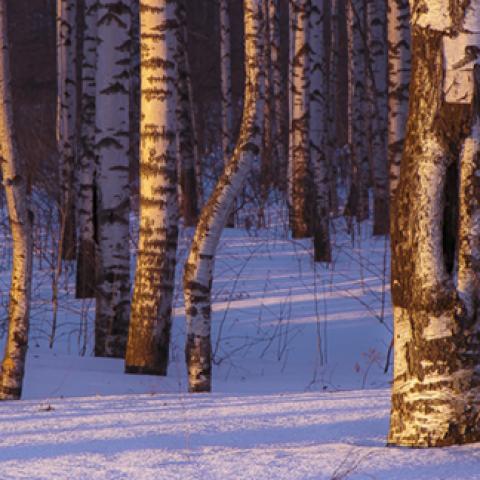image snow_and_ice_lr_0010-jpg