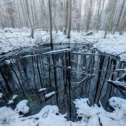 image snow_and_ice_lr_0011-jpg