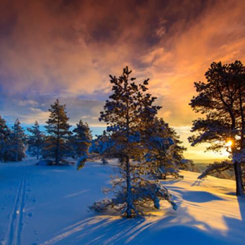 image snow_and_ice_lr_0012-jpg