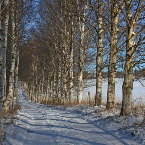 image snow_and_ice_lr_0014-jpg