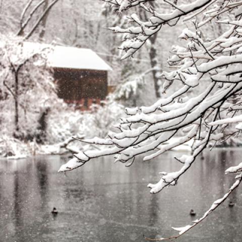 image snow_and_ice_lr_0016-jpg