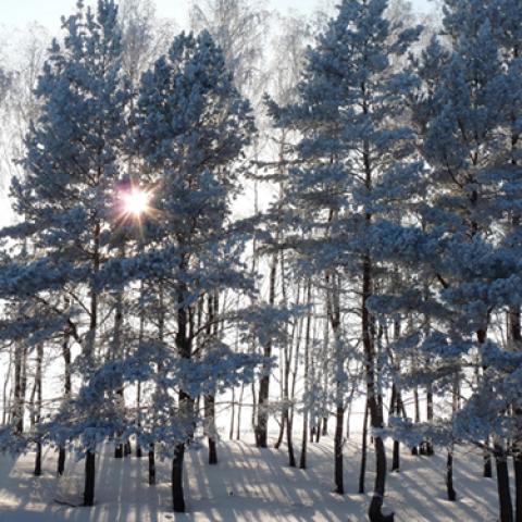 image snow_and_ice_lr_0018-jpg