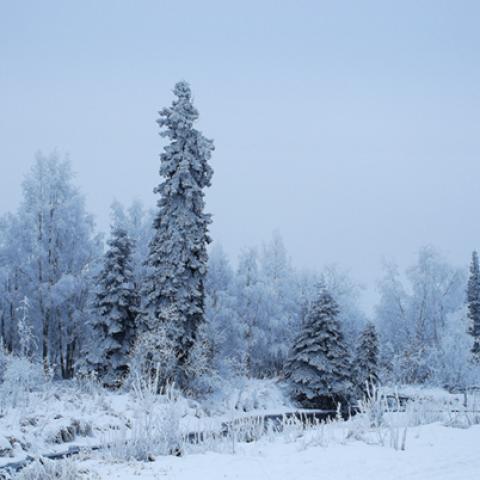 image snow_and_ice_lr_0019-jpg