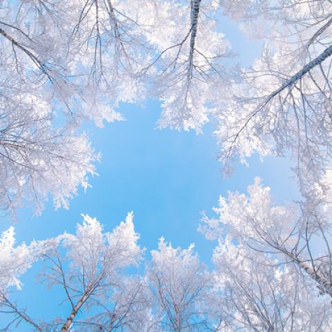 image snow_and_ice_lr_0022-jpg