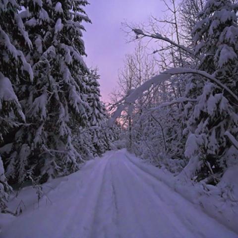 image snow_and_ice_lr_0023-jpg
