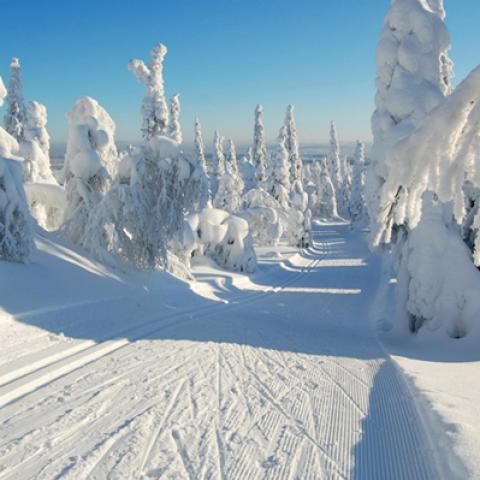 image snow_and_ice_lr_0028-jpg