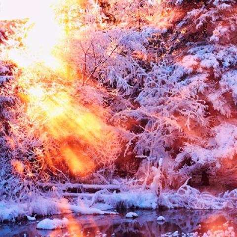 image snow_and_ice_lr_0029-jpg