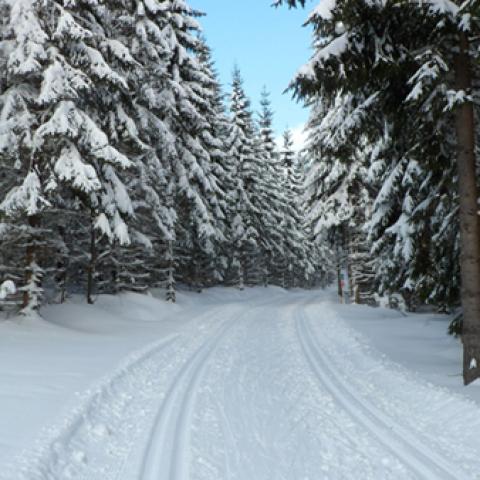 image snow_and_ice_lr_0034-jpg