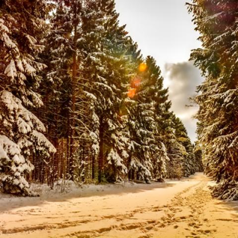 image snow_and_ice_lr_0035-jpg