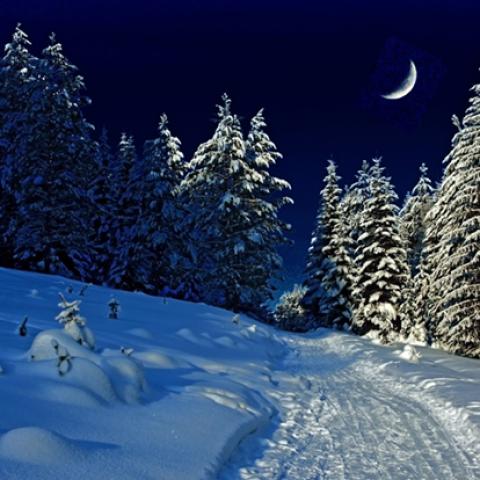 image snow_and_ice_lr_0036-jpg