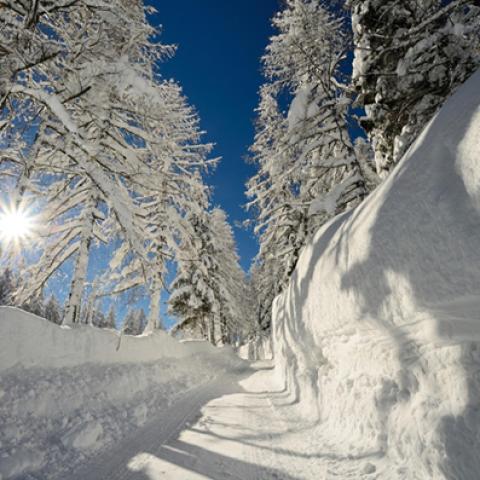 image snow_and_ice_lr_0037-jpg