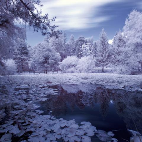 image snow_and_ice_lr_0040-jpg