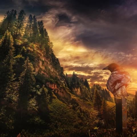 image sunrise_and_sunset_hr_0002-jpg