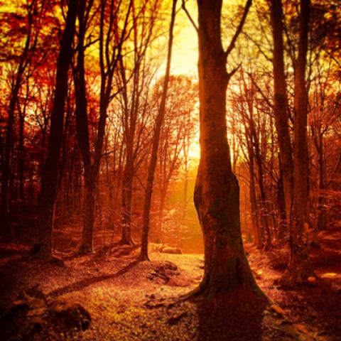image sunrise_and_sunset_hr_0003-jpg