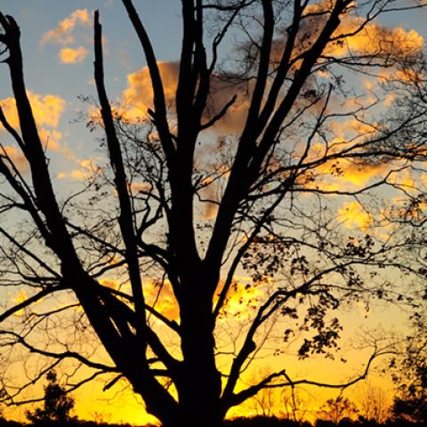 image sunrise_and_sunset_hr_0012-jpg