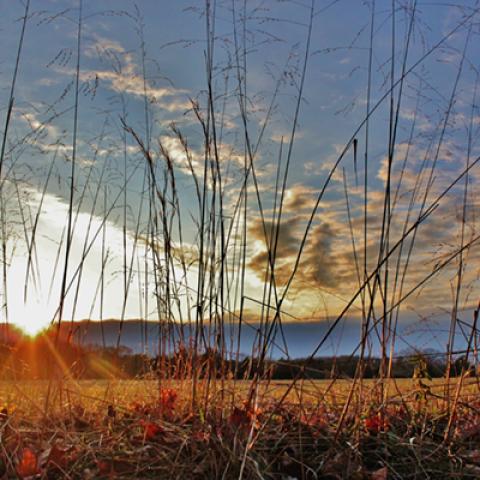 image sunrise_and_sunset_hr_0014-jpg