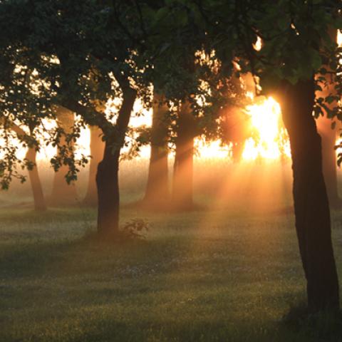 image sunrise_and_sunset_hr_0020-jpg