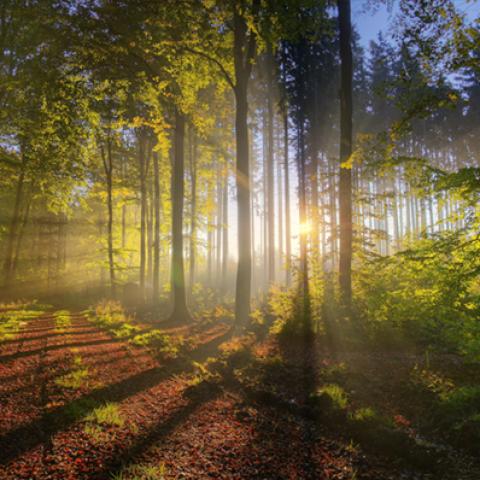 image sunrise_and_sunset_hr_0021-jpg