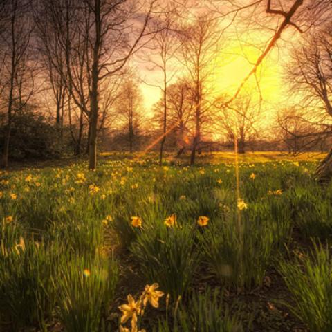 image sunrise_and_sunset_lr_0001-jpg