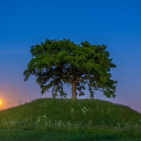 image sunrise_and_sunset_lr_0002-jpg