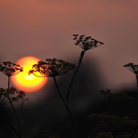 image sunrise_and_sunset_lr_0003-jpg