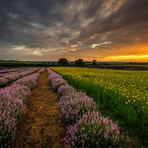image sunrise_and_sunset_lr_0015-jpg