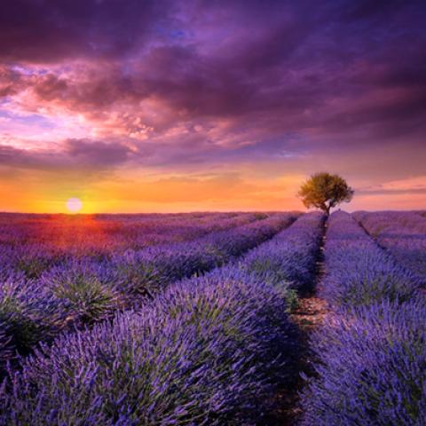 image sunrise_and_sunset_lr_0016-jpg