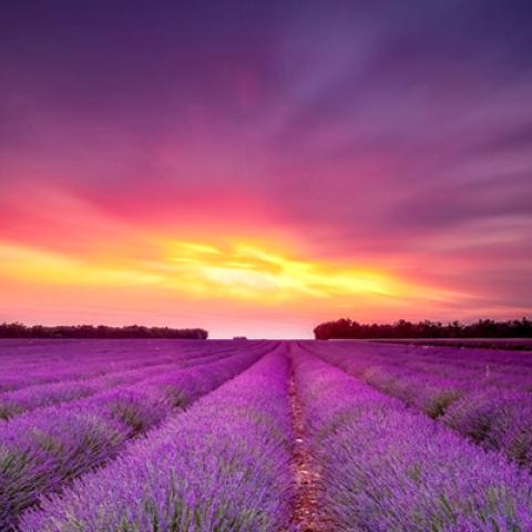 image sunrise_and_sunset_lr_0017-jpg