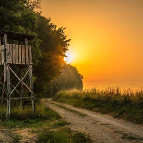 image sunrise_and_sunset_lr_0021-jpg