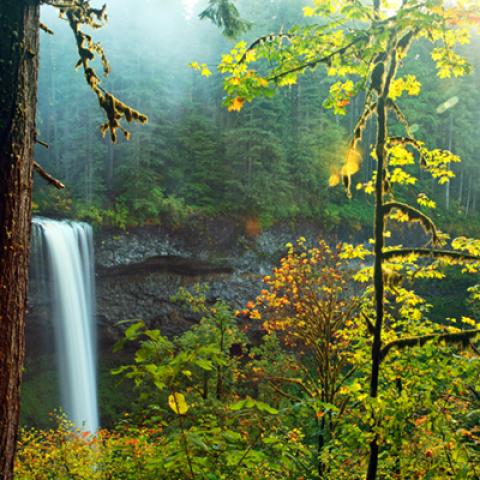 image waterfalls_hr_0003-jpg