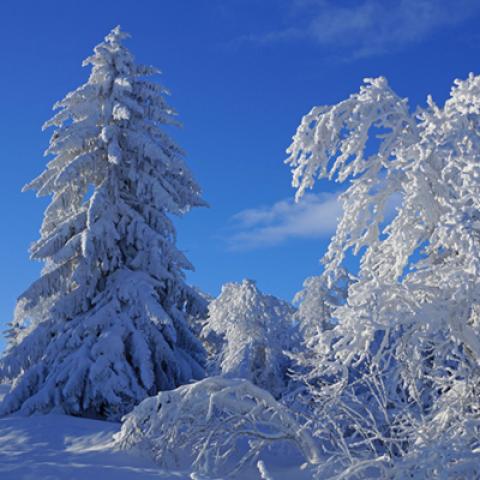 image snow_and_ice_hr_0001-jpg
