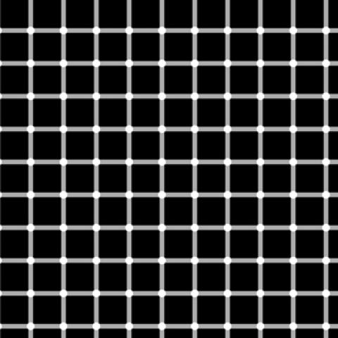 image patterns_lr_0005-jpg