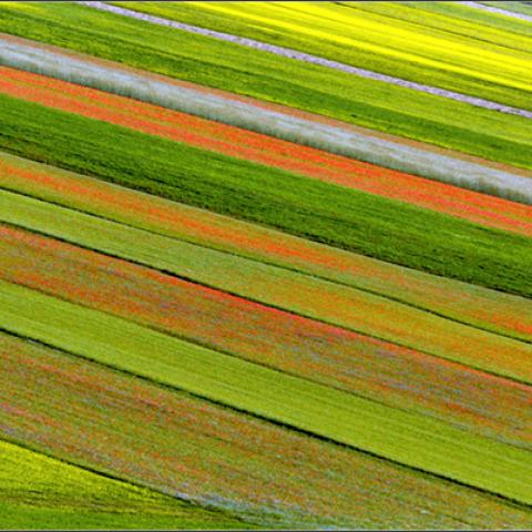 image patterns_lr_0017-jpg