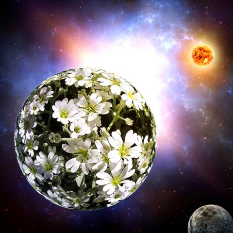 image space_lr_0019-jpg