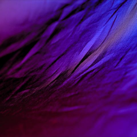 image fabric_hr_0007-jpg