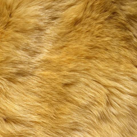image fabric_lr_0015-jpg