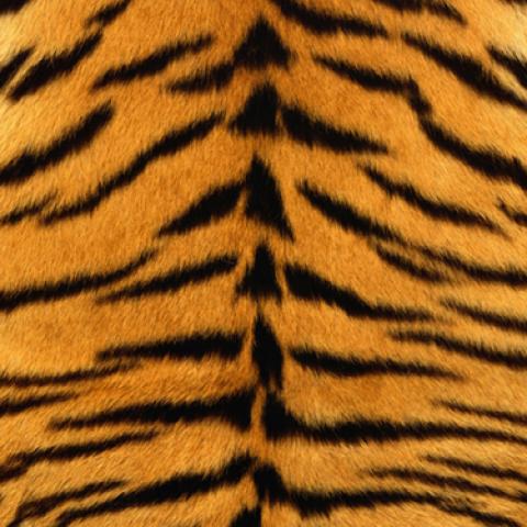 image fabric_lr_0031-jpg