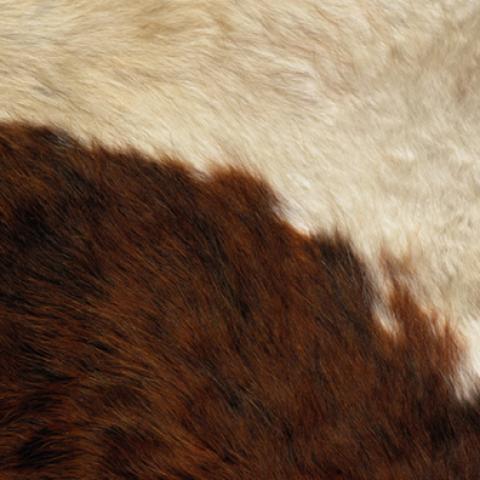 image fabric_lr_0046-jpg