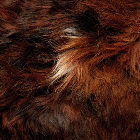 image fabric_lr_0048-jpg