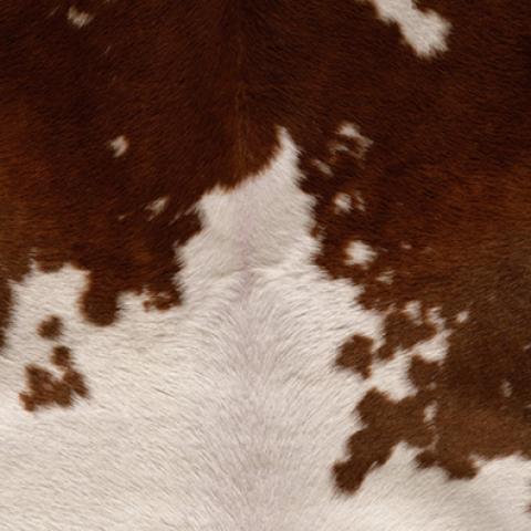 image fabric_lr_0050-jpg