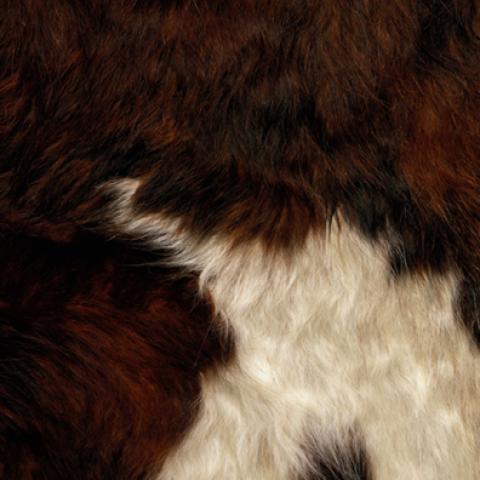 image fabric_lr_0051-jpg