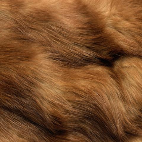 image fabric_lr_0052-jpg