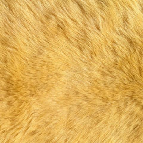 image fabric_lr_0057-jpg