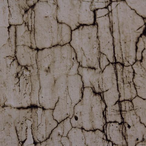 image grunge_hr_0012-jpg