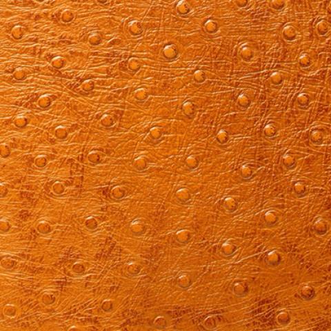 image leather_lr_0004-jpg