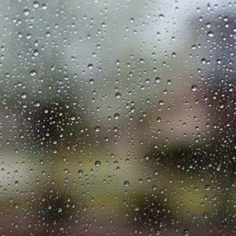 image liquid_lr_0009-jpg