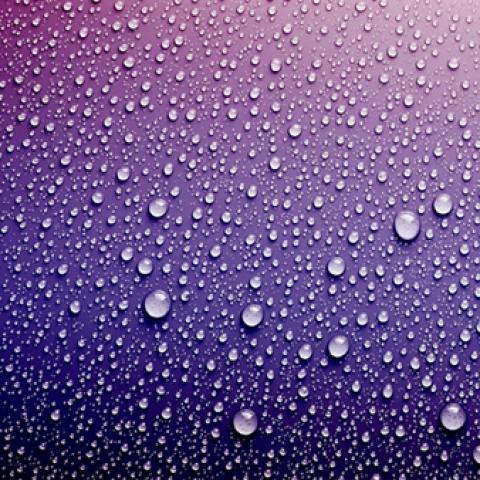 image liquid_lr_0010-jpg