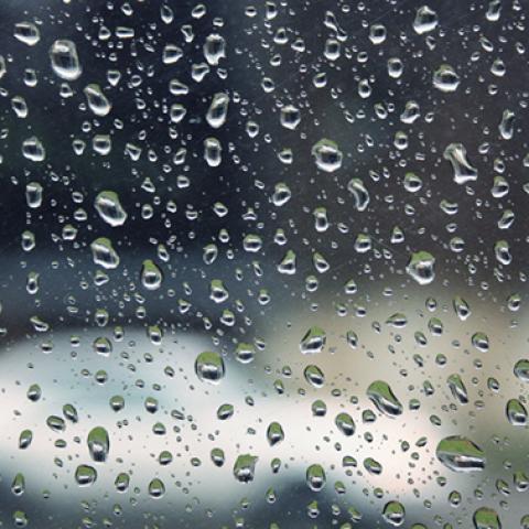 image liquid_lr_0013-jpg